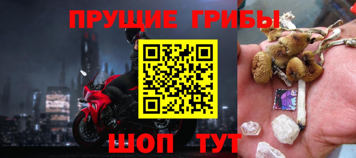 Курганинск  Псилоцибиновые грибы Psilocybine cubensis  Вход с VPN 